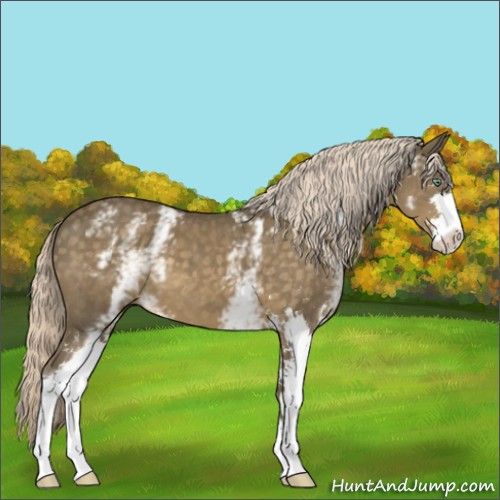 Horse Color:White Spotted Chocolate Palomino Mushroom Sabino
