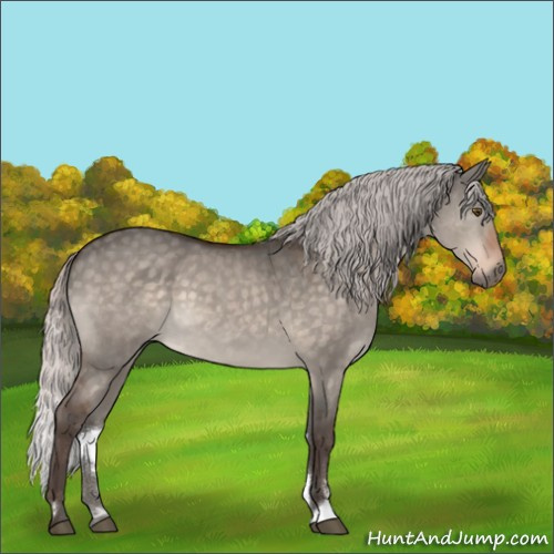 Horse Color:Silver Brown Dun Mushroom Sabino 