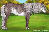 Horse Color:Chocolate Silver Smoky Black Chinchilla 