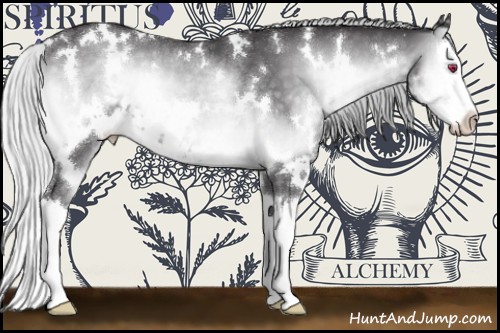 Horse Color:White Spotted Silver Smoky Blue Onyx Chinchilla Splash Rabicano 