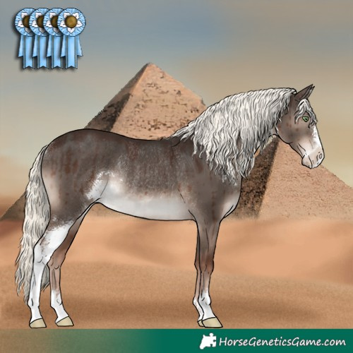 Horse Color:Liver Red Dun Mushroom Sabino Rabicano Brindle 