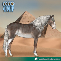 Horse Color:Liver Red Dun Mushroom Sabino Rabicano Brindle