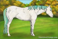 Horse Color:Painted Buckskin Ice Pearl Dun 