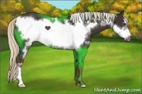Horse Color:Liver Chestnut Frame 