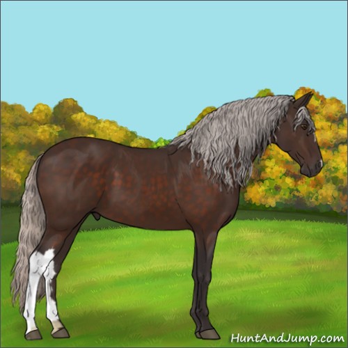 Horse Color:Silver Brown 