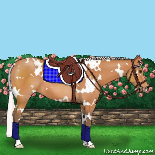 Horse Color:White Spotted Silver Bay