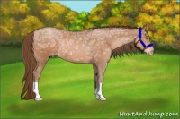 Horse Color:Brown Ice Pearl 