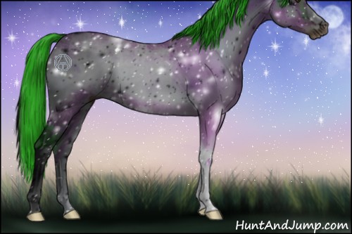 Horse Color:ERROR: UNKNOWN ANOMALY