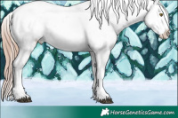 Horse Color:Liver Chestnut Sabino Snowflake Varnish