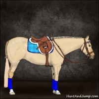 Horse Color:Palomino Dun 