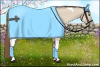 Horse Color:Classic Champagne Dun Tobiano Appaloosa 