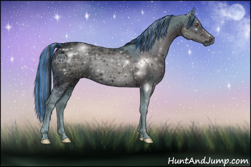 Horse Color:ERROR: UNKNOWN ANOMALY