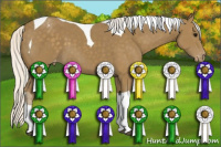 Horse Color:Silver Smoky Black Tobiano Varnish 