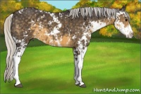 Horse Color:Silver Smoky Black Sabino 