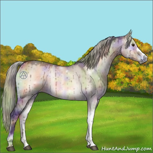 Horse Color:Nacre Silver Brown Onyx Mushroom Brindle 