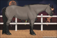 Horse Color:Gray Grullo 