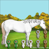 Horse Color:Red Dun Tobiano Varnish 