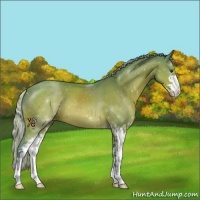 Horse Color:Watercolor Silver Brown Sabino 