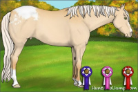 Horse Color:Silver Classic Cream Champagne Sabino Varnish 