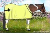 Horse Color:Brown Tobiano