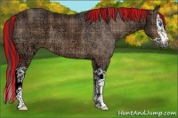 Horse Color:Painted Plaid  Bay Ice Splash Rabicano 