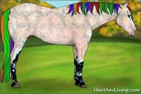 Horse Color:Painted Plaid  White Spotted Bay Ice Rabicano 