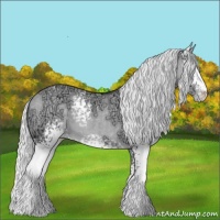 Horse Color:White Spotted Silver Grullo Chinchilla Ice Sabino Varnish 