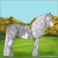 Horse Color:Gold Champagne Chinchilla Ice Dun Splash