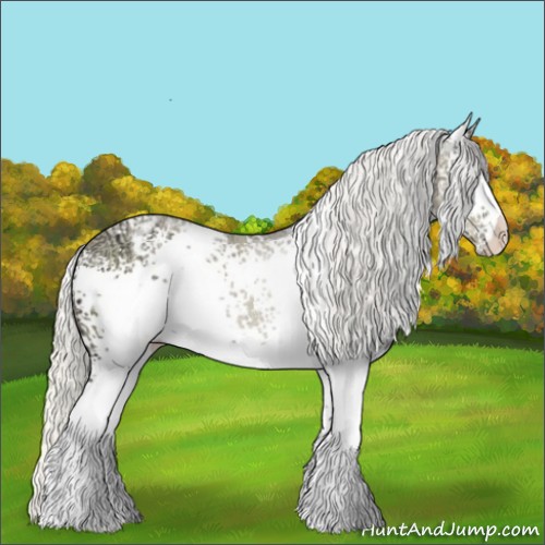 Horse Color:White Spotted Silver Classic Cream Champagne Chinchilla Ice Appaloosa Rabicano