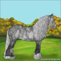Horse Color:Silver Sable Champagne Chinchilla Ice