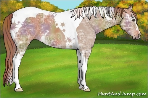 Horse Color:Nacre White Spotted Chestnut Ice Tobiano