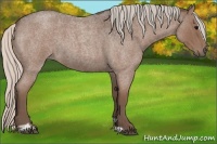 Horse Color:Silver Blue Roan Sabino