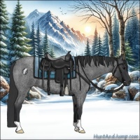 Horse Color:Blue Roan