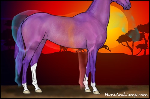 Horse Color:Watercolor Brown Rabicano 