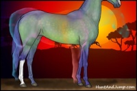 Horse Color:Watercolor Brown 