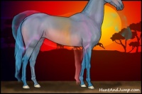 Horse Color:Watercolor Bay 