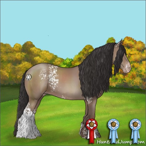 Horse Color:White Spotted Classic Champagne 