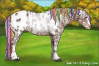 Horse Color:Painted White Spotted Chocolate Silver Black Ice Sabino Appaloosa Rabicano