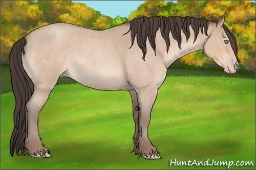 Horse Color:Amber Champagne Roan Sabino 