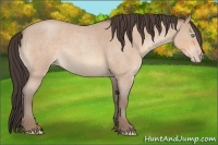 Horse Color:Amber Champagne Roan Sabino 