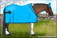 Horse Color:Brown Tobiano 