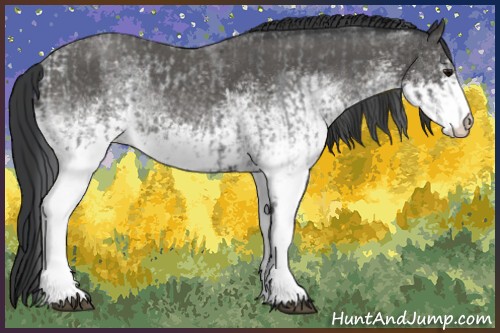 Horse Color:White Spotted Blue Roan Rabicano  and White Spotted Blue Roan Rabicano 