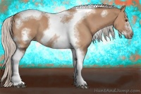 Horse Color:Silver Bay Dun Sabino Tobiano Frame Rabicano 