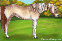 Horse Color:Red Onyx Tobiano 