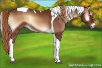 Horse Color:Red Onyx Tobiano 
