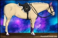 Horse Color:Gold Cream Champagne Sabino 