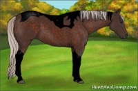 Horse Color:Void Silver Brown Tobiano 