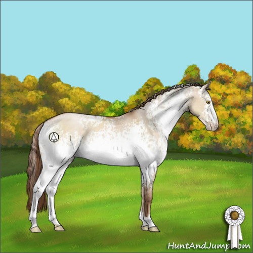 Horse Color:White Spotted Brown Pearl Dun