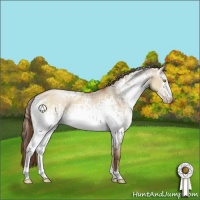 Horse Color:White Spotted Brown Pearl Dun