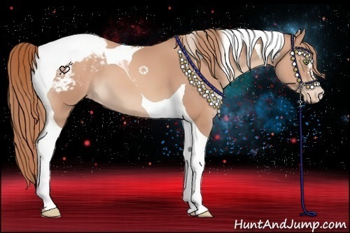 Horse Color:Gold Champagne Sabino Tobiano Appaloosa 